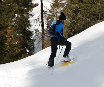 http://www.suimonti.it/ciaspe/images/gio.jpg